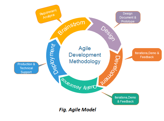 Agile System Development Life Cycle